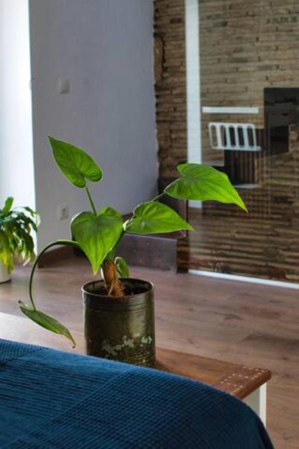 Vakantiehuis Mediterranea En El Centrico Casco Antiguo A Un Paso Del Mar *