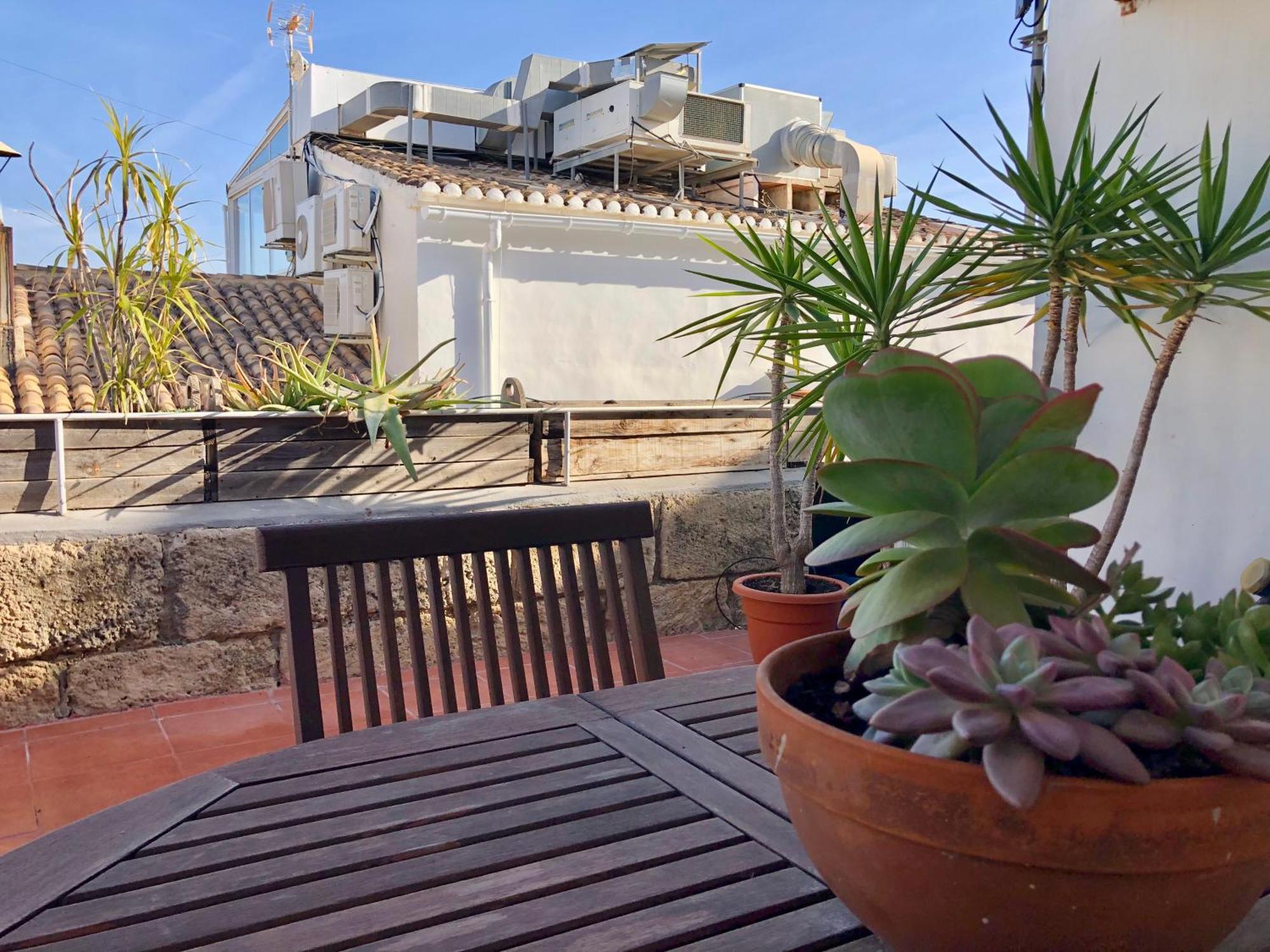 Mediterranea En El Centrico Casco Antiguo A Un Paso Del Mar
